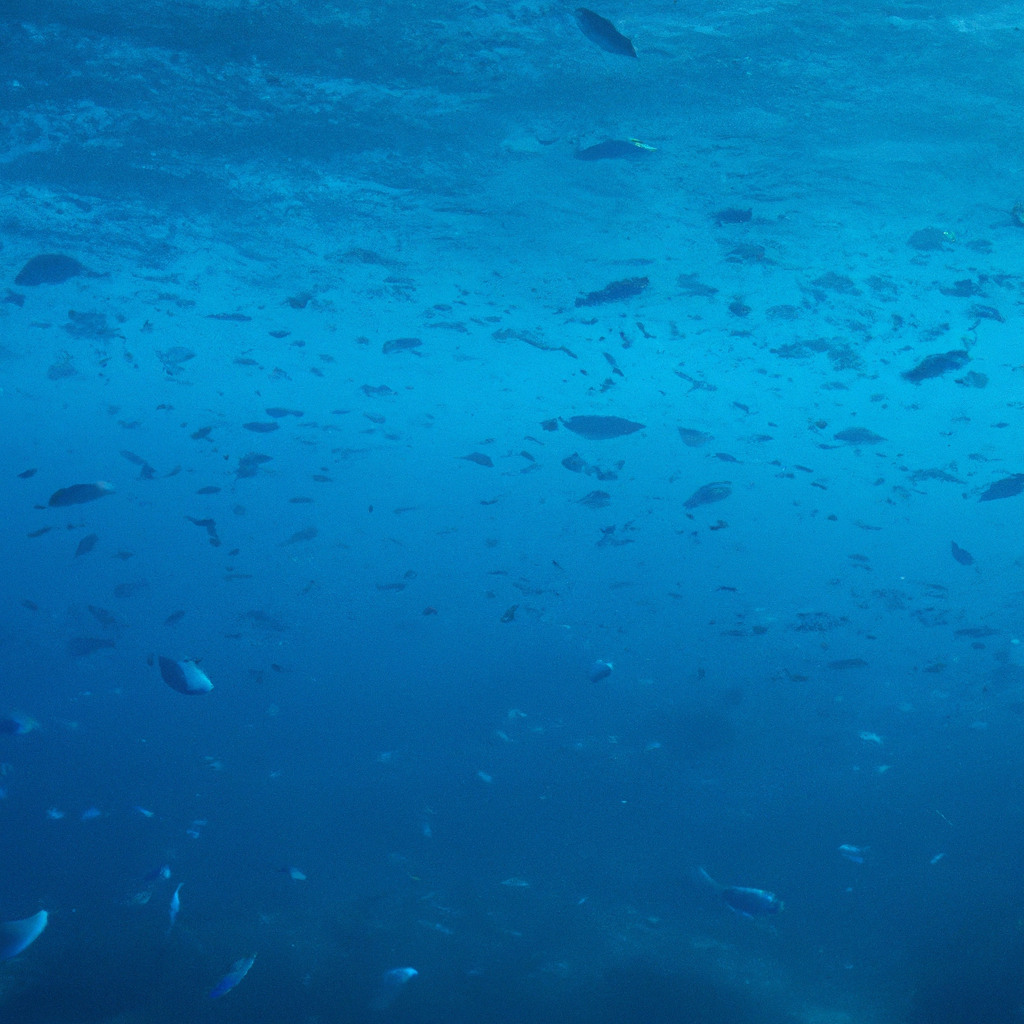 Will the world’s oceans ever run out of fish?